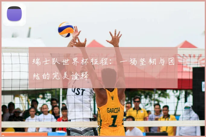 瑞士队世界杯征程：一场坚韧与团结的完美诠释