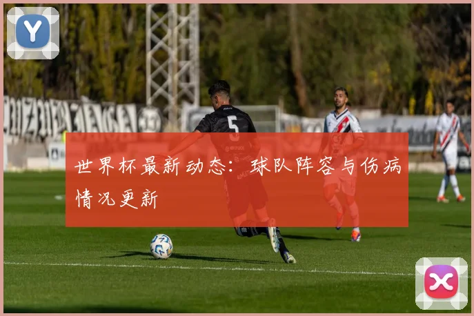 世界杯最新动态：球队阵容与伤病情况更新