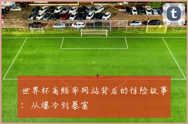 世界杯高赔率网站背后的惊险故事:从爆冷到暴富