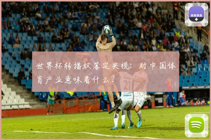 世界杯转播权落定央视：对中国体育产业意味着什么？