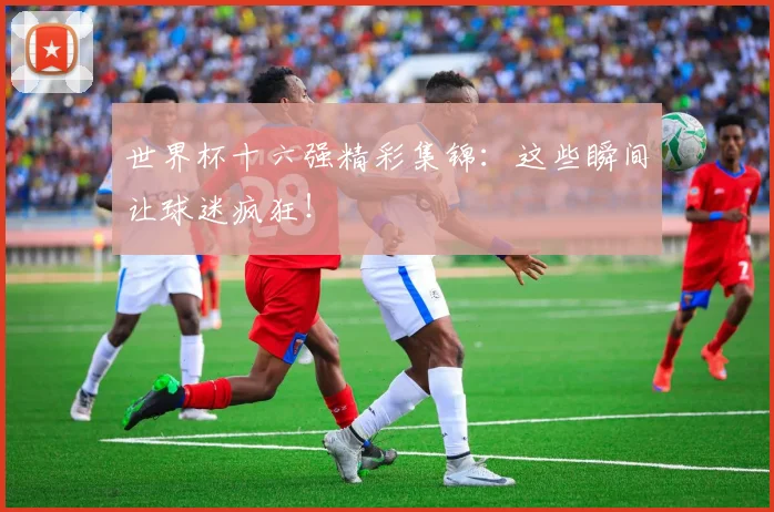 世界杯十六强精彩集锦：这些瞬间让球迷疯狂！